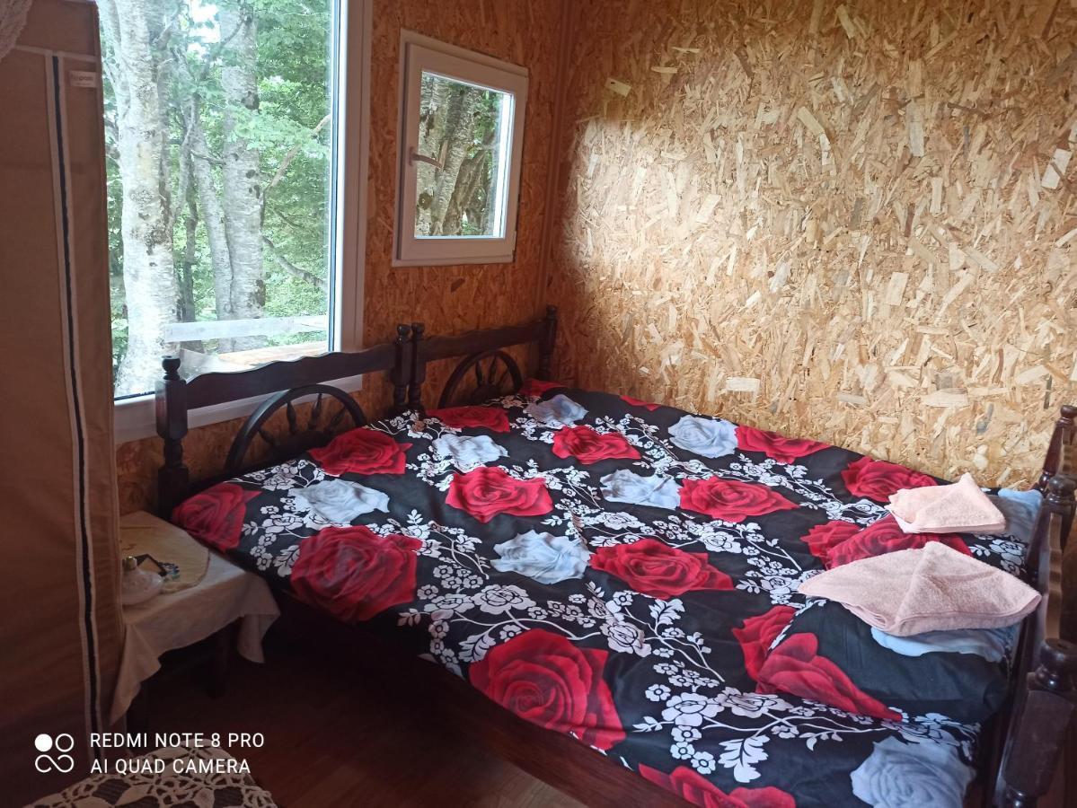 Katun Ljeljenak Hotel Pluzine Bagian luar foto
