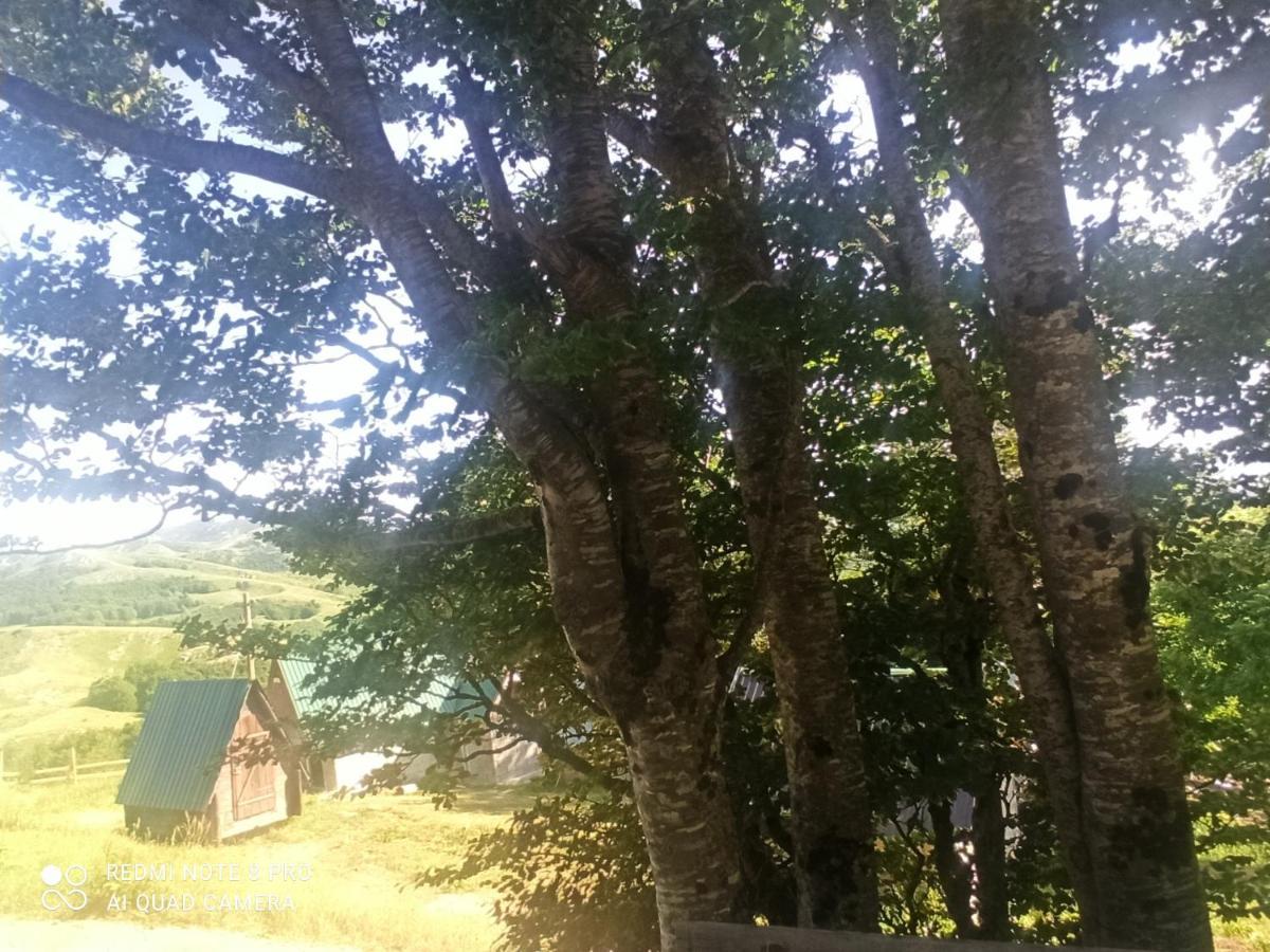 Katun Ljeljenak Hotel Pluzine Bagian luar foto