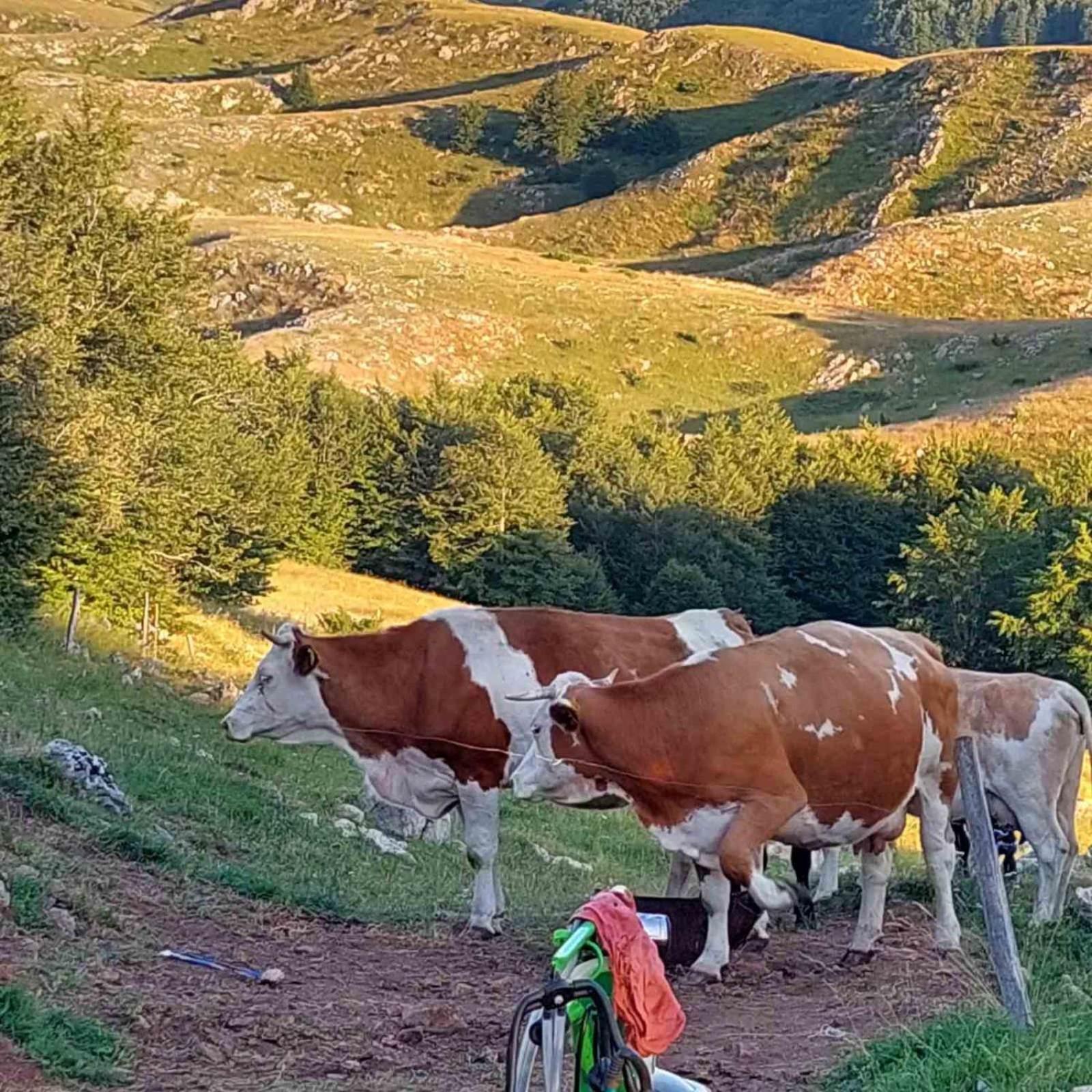 Katun Ljeljenak Hotel Pluzine Bagian luar foto