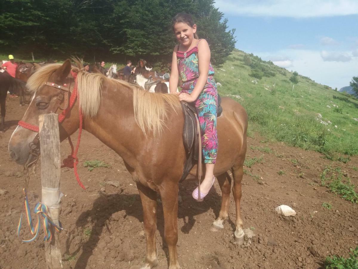Katun Ljeljenak Hotel Pluzine Bagian luar foto