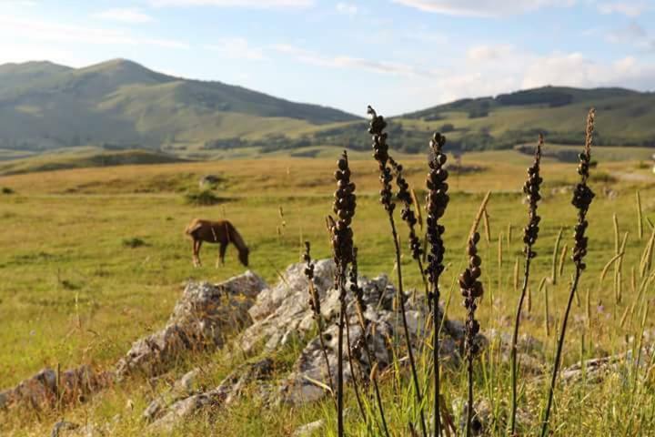 Katun Ljeljenak Hotel Pluzine Bagian luar foto