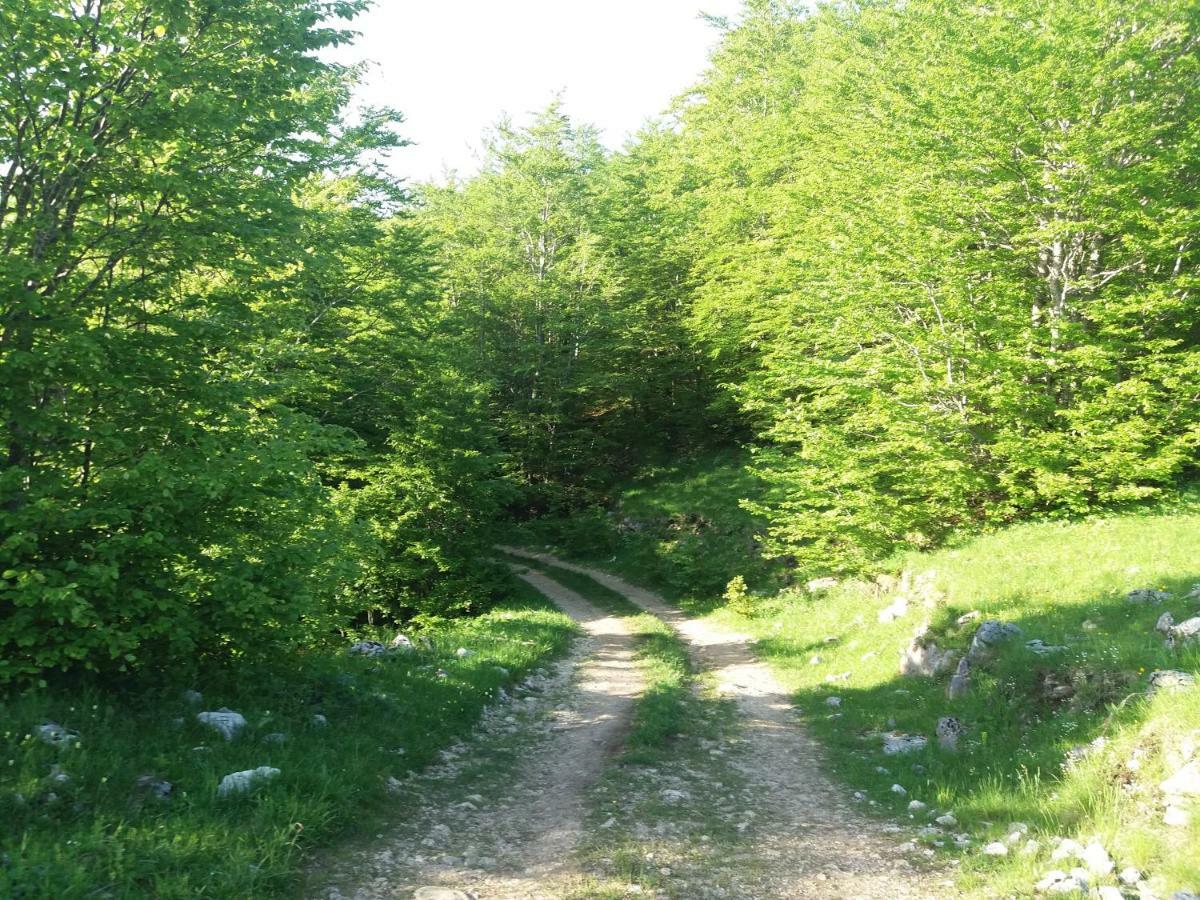 Katun Ljeljenak Hotel Pluzine Bagian luar foto